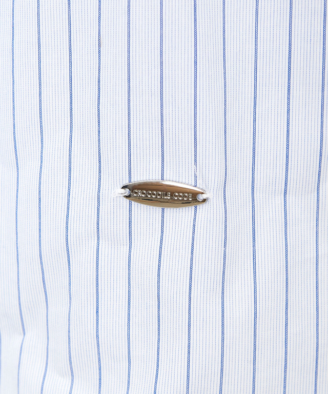 フリル襟 ストライプ ブラウス