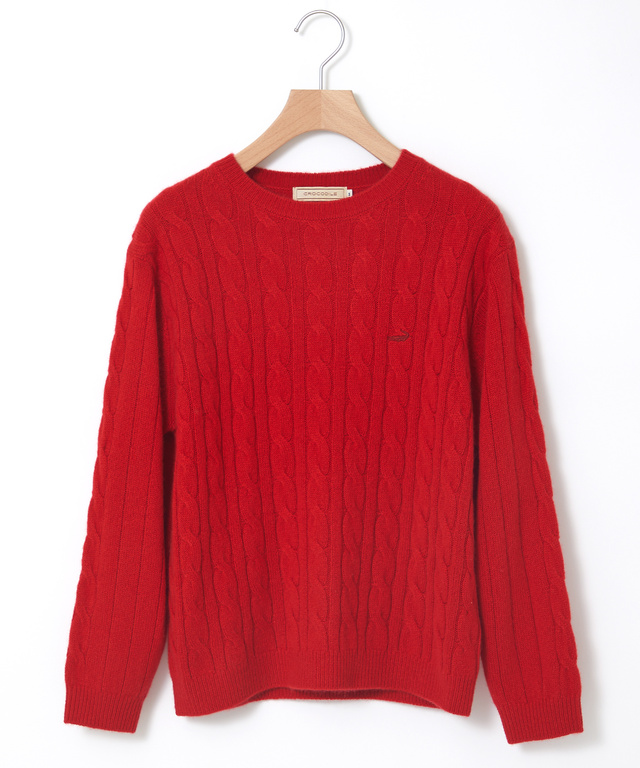 カシミヤ ケーブル プルオーバーニット【一部店舗限定】