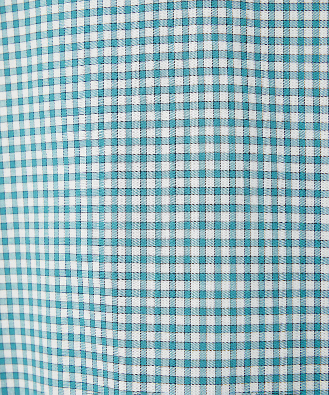 ラウンドカラー ギンガムチェック柄 ブラウス