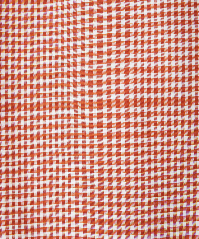 微起毛 ギンガムチェック柄 ブラウス