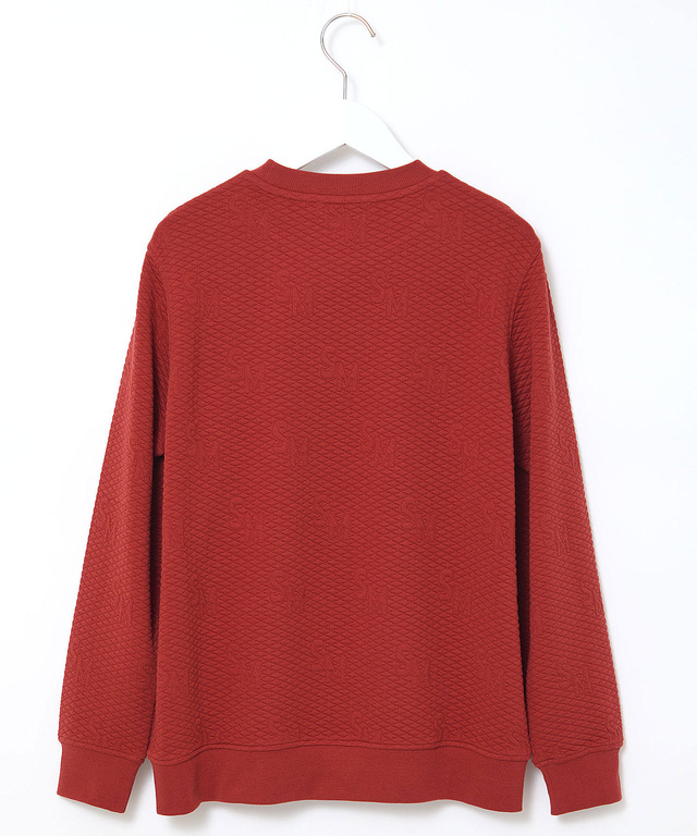 ジャカード バイアス柄 スウェット