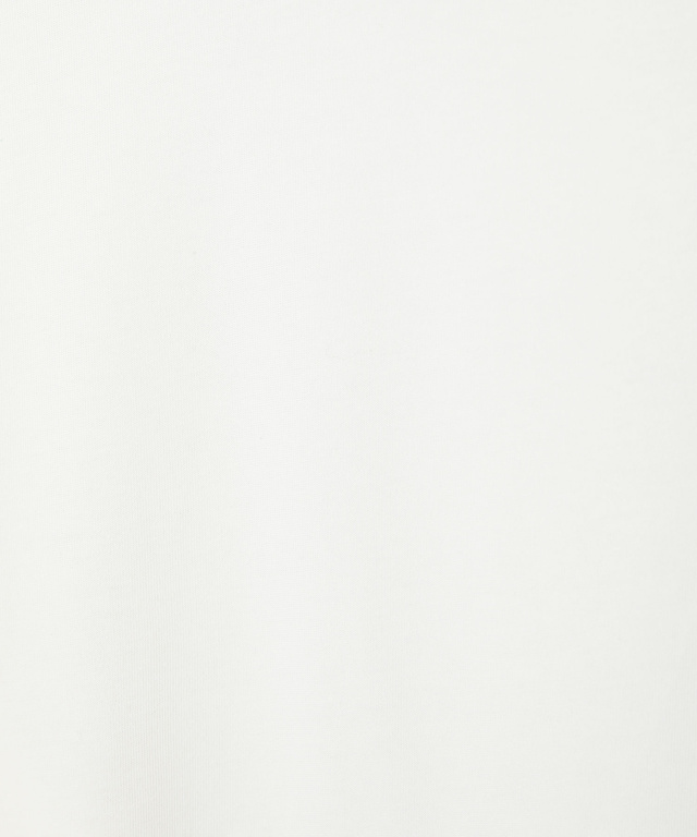 プレート天竺 カットソー