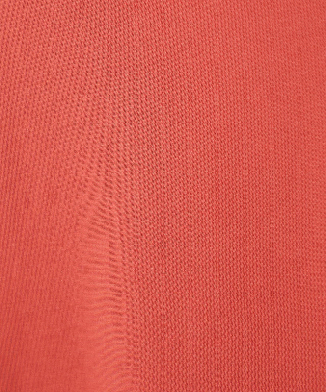 プレート天竺 カットソー